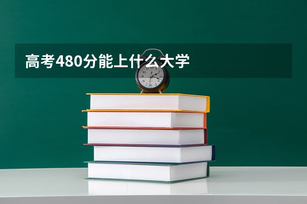 高考480分能上什么大学