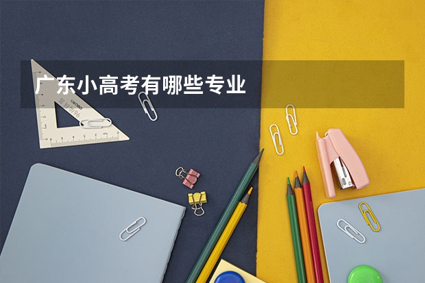 广东小高考有哪些专业