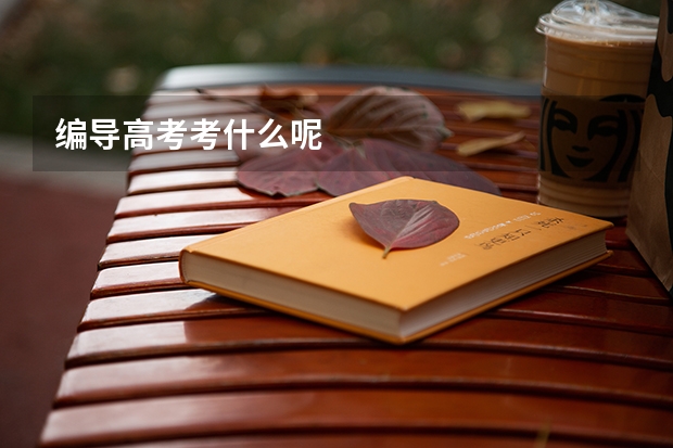 编导高考考什么呢