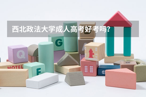 西北政法大学成人高考好考吗？