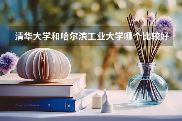 清华大学和哈尔滨工业大学哪个比较好 录取分数线