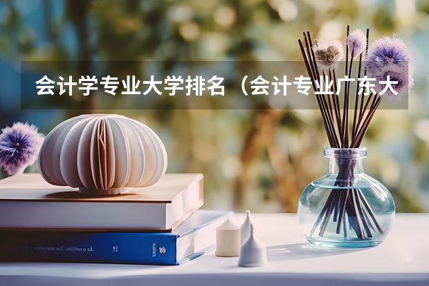 会计学专业大学排名（会计专业广东大学排名）