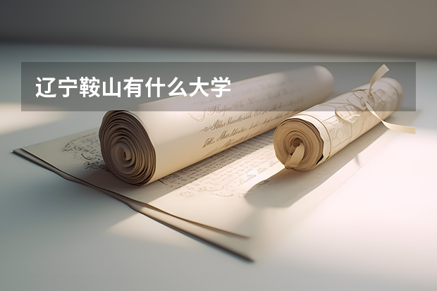 辽宁鞍山有什么大学