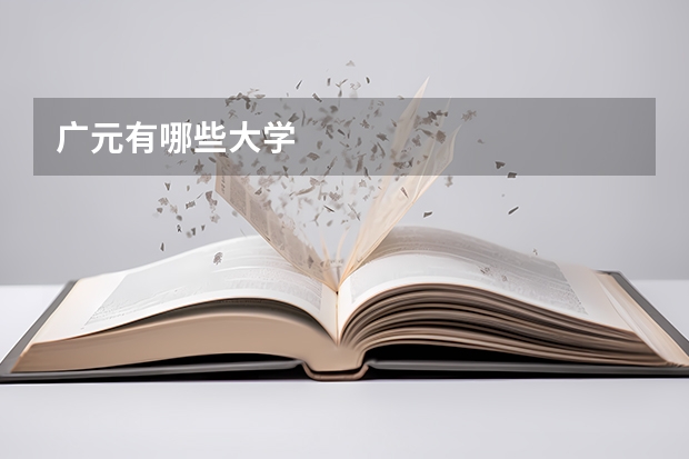 广元有哪些大学