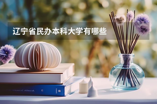 辽宁省民办本科大学有哪些