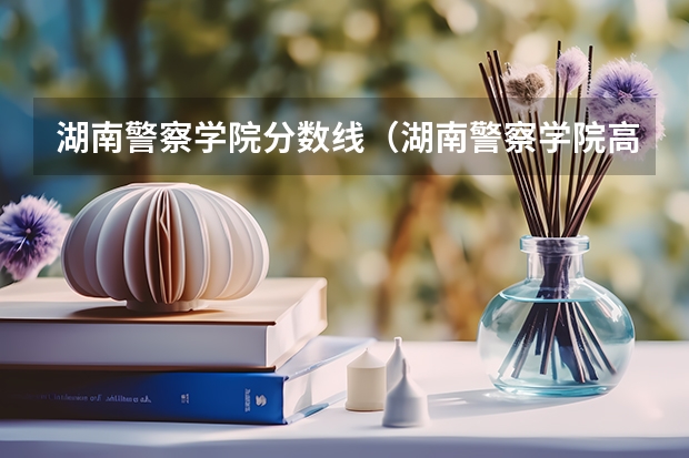 湖南警察学院分数线（湖南警察学院高考分数线）