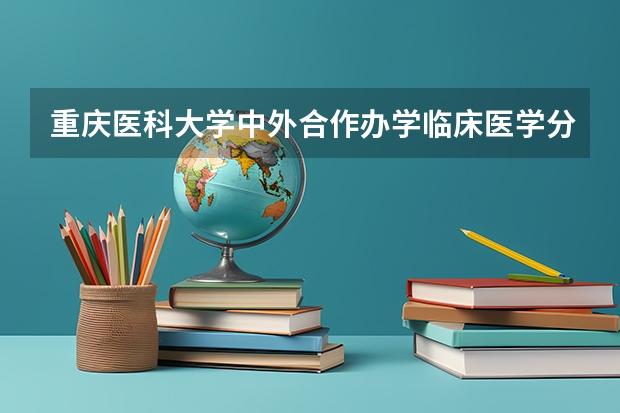 重庆医科大学中外合作办学临床医学分数线 成都大学中外合作2023录取分数线