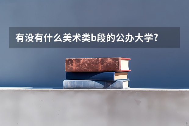 有没有什么美术类b段的公办大学?