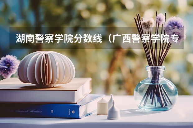 湖南警察学院分数线（广西警察学院专科分数线）