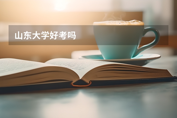 山东大学好考吗