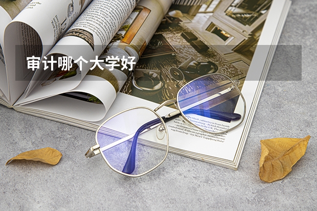 审计哪个大学好