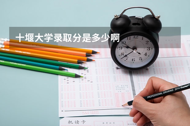 十堰大学录取分是多少啊