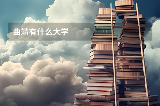 曲靖有什么大学