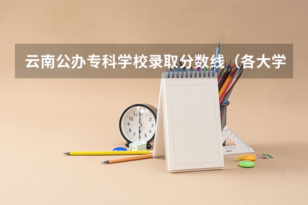 云南公办专科学校录取分数线（各大学在云南录取分数线一览表）
