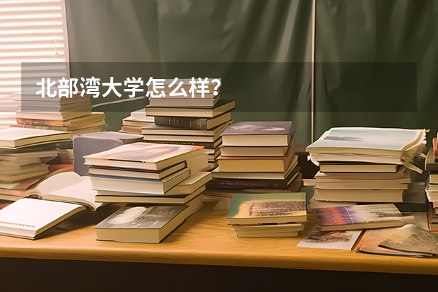 北部湾大学怎么样？