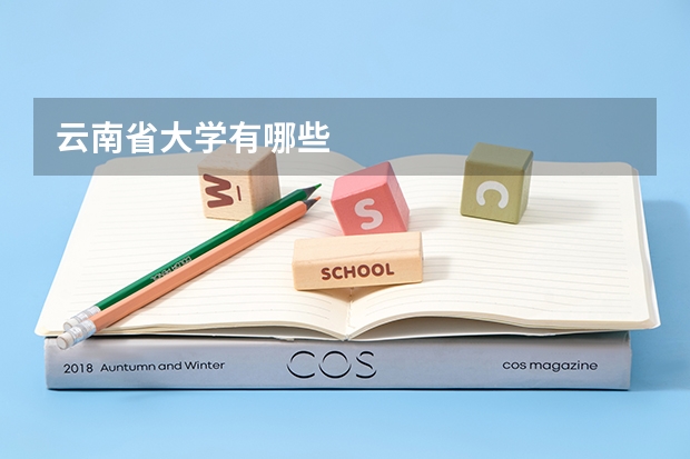云南省大学有哪些