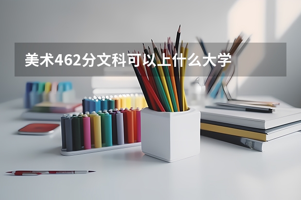 美术462分文科可以上什么大学