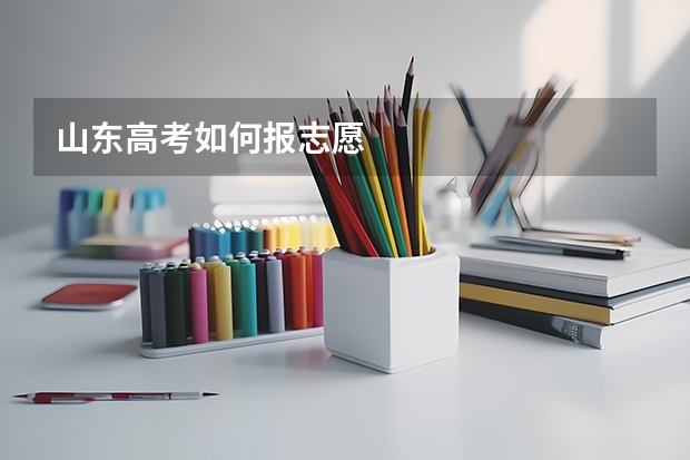 山东高考如何报志愿