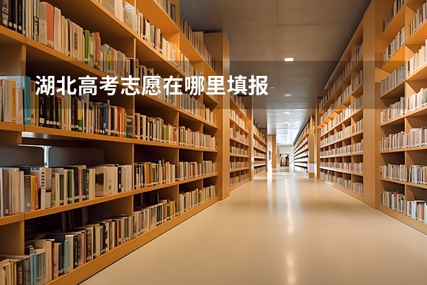 湖北高考志愿在哪里填报