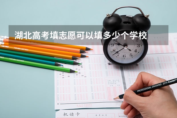 湖北高考填志愿可以填多少个学校