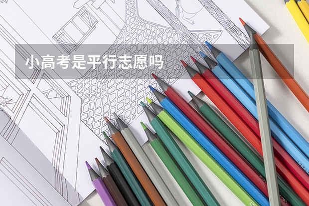 小高考是平行志愿吗