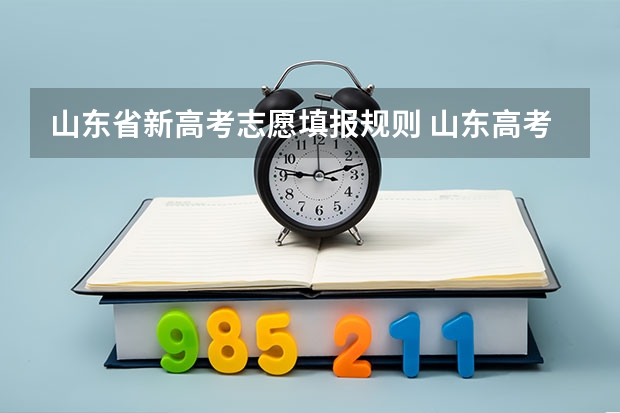 山东省新高考志愿填报规则 山东高考志愿填报流程