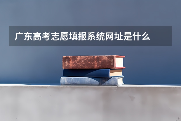 广东高考志愿填报系统网址是什么