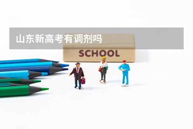 山东新高考有调剂吗