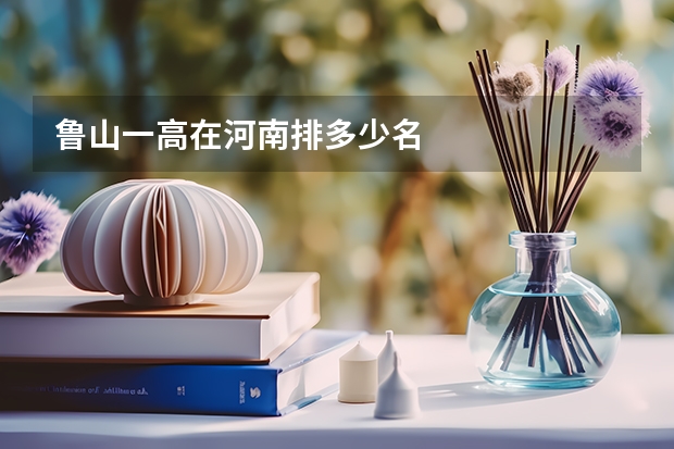 鲁山一高在河南排多少名