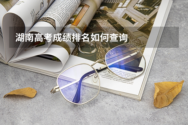 湖南高考成绩排名如何查询