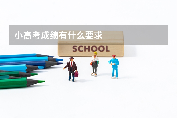 小高考成绩有什么要求