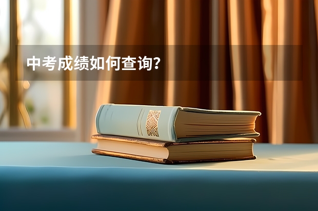 中考成绩如何查询？
