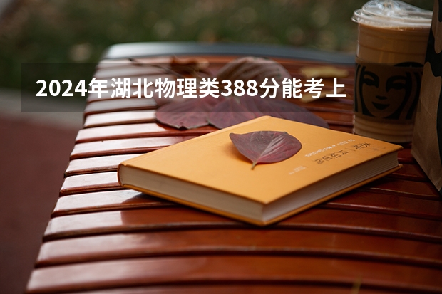 2024年湖北物理类388分能考上什么大学？
