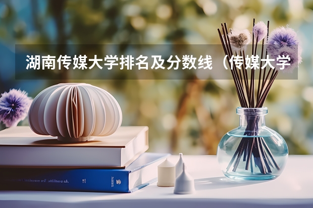 湖南传媒大学排名及分数线（传媒大学最低分数线）