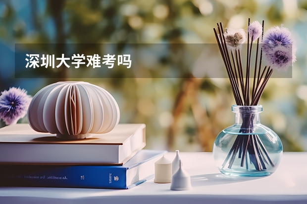 深圳大学难考吗