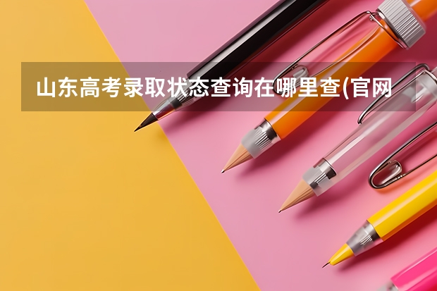 山东高考录取状态查询在哪里查(官网入口)