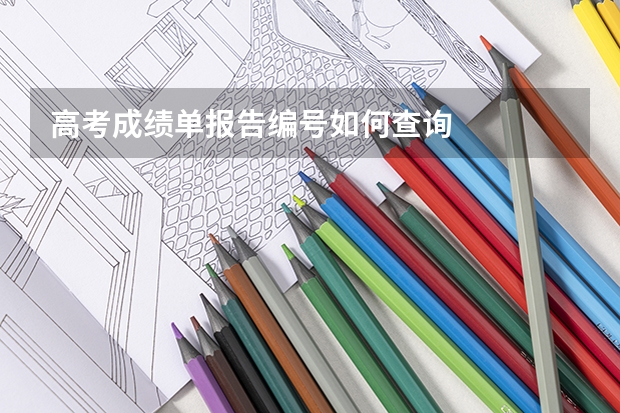 高考成绩单报告编号如何查询