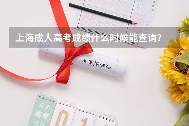 上海成人高考成绩什么时候能查询？