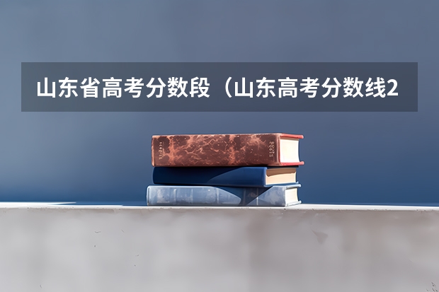 山东省高考分数段（山东高考分数线2023一分一档表）