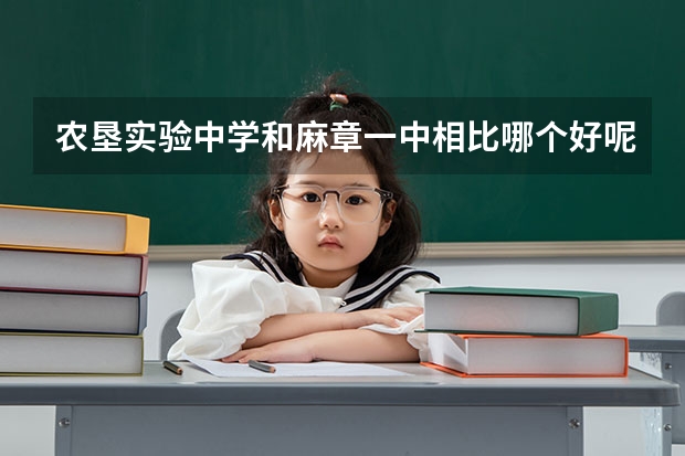 农垦实验中学和麻章一中相比哪个好呢