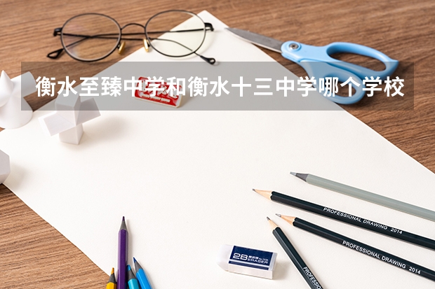 衡水至臻中学和衡水十三中学哪个学校高考成绩好