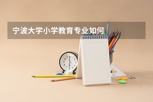 宁波大学小学教育专业如何