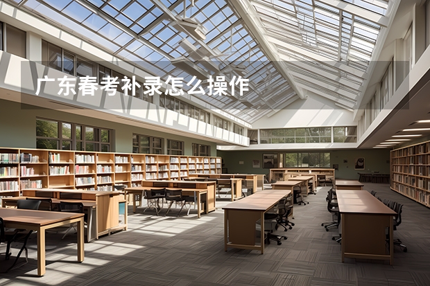 广东春考补录怎么操作