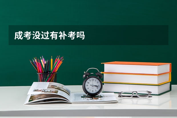 成考没过有补考吗