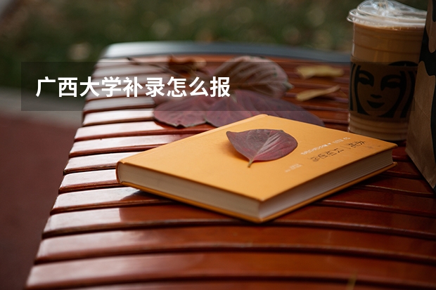 广西大学补录怎么报