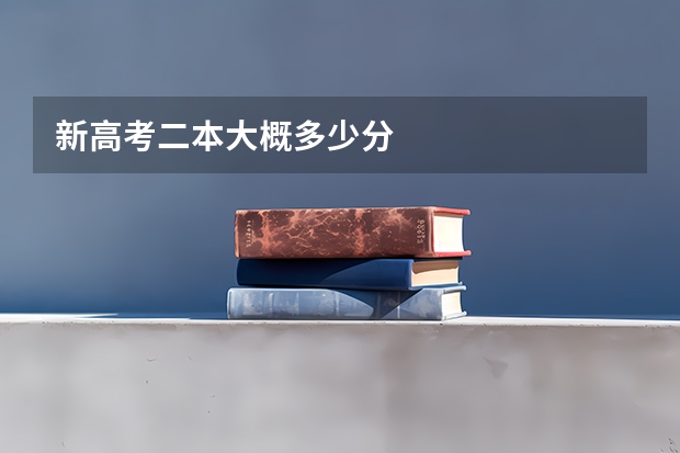 新高考二本大概多少分