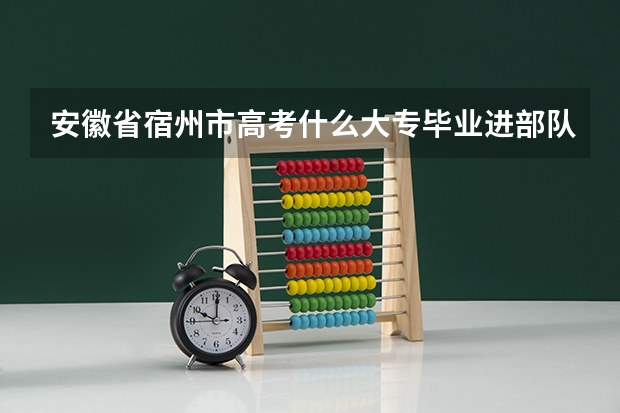 安徽省宿州市高考什么大专毕业进部队就是士官
